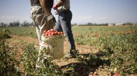 Vittoria della FLAI CGIL: la Corte d'Appello stabilisce risarcimento di 50.000 euro per un lavoratore agricolo dopo 6 anni di sfruttamento nel cuneese